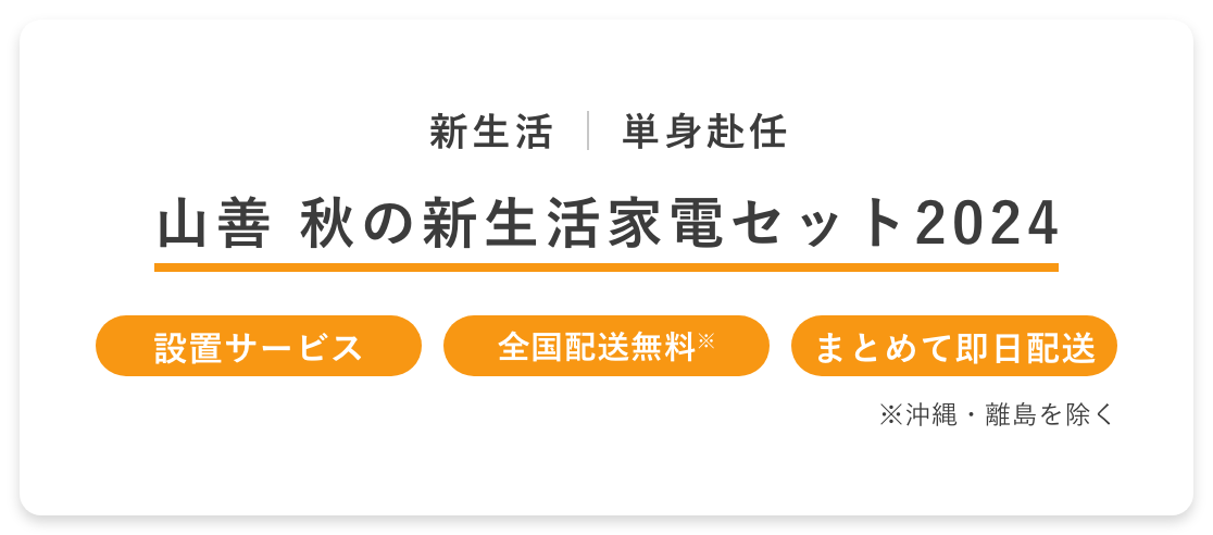 全国配送料無料 まとめて即日配送